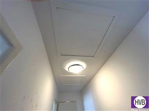 photo_8