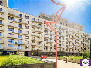 photo_1