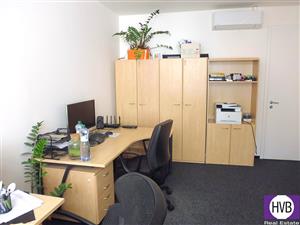 photo_6