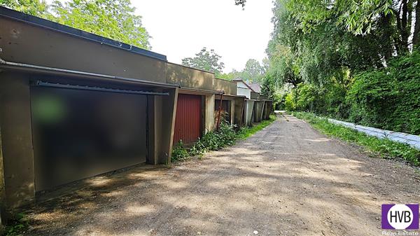 photo_3