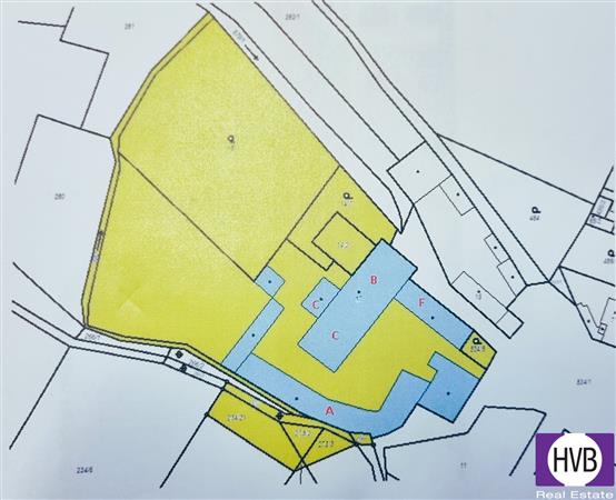 photo_3