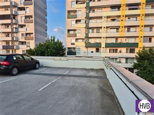 photo_3