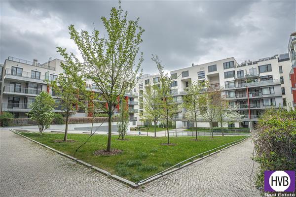 photo_17