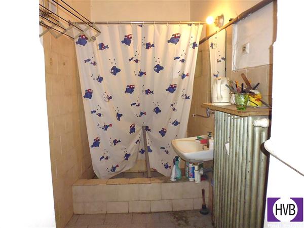 photo_6
