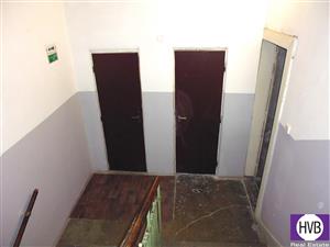 photo_10