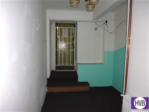 photo_8
