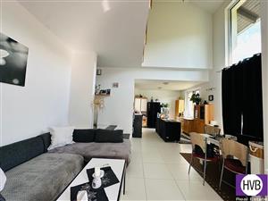 photo_5