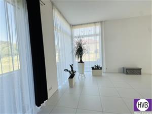 photo_6