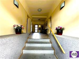 photo_6