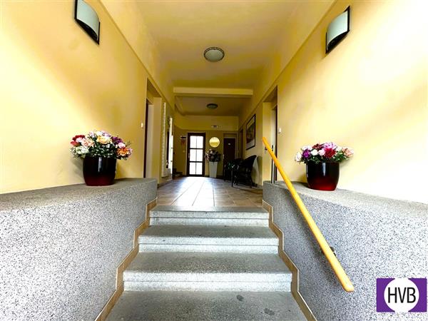 photo_6