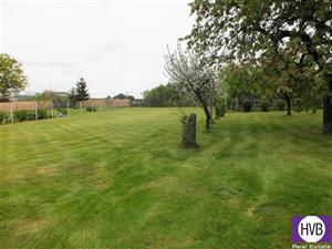 photo_6