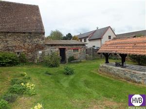 photo_4