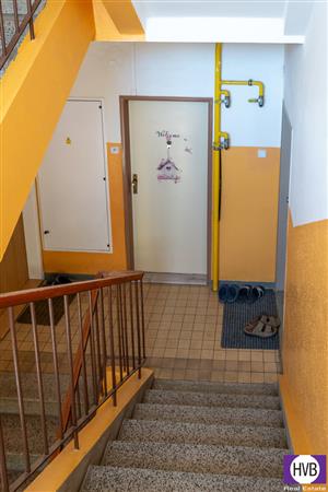 photo_8