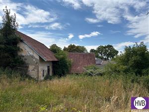 photo_10