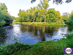 photo_2