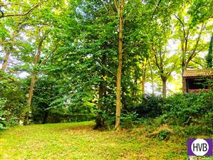 photo_9