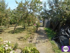 photo_8