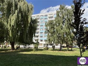 photo_1