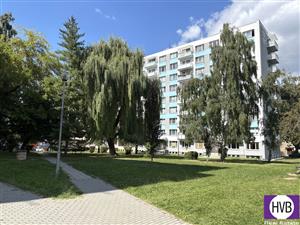 photo_1