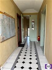 photo_8