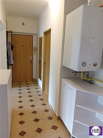 photo_6