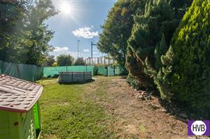 photo_6