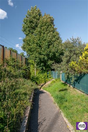 photo_13