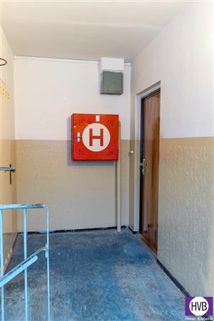 photo_8