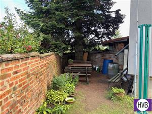 photo_6