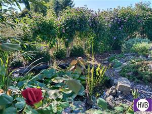 photo_4