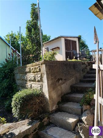 photo_11