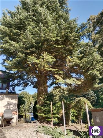 photo_16