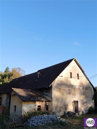 photo_9
