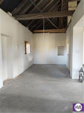 photo_6