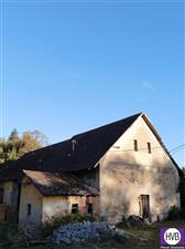 photo_9