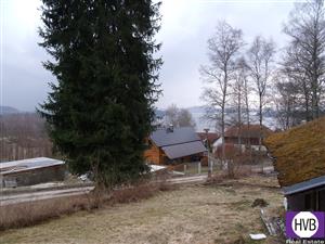 photo_9