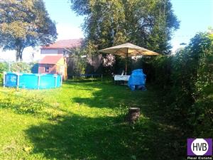 photo_8