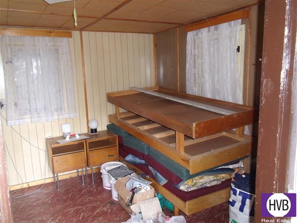 photo_7