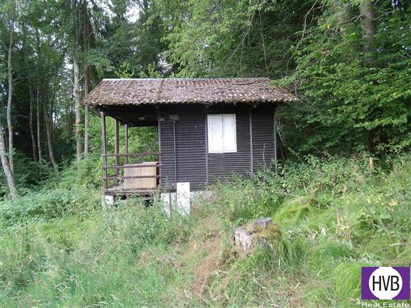 photo_10