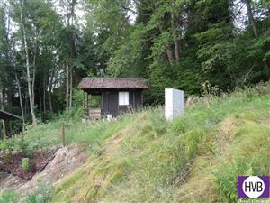 photo_4