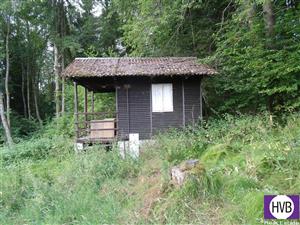 photo_10