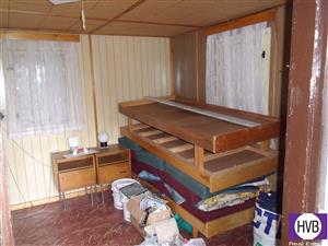 photo_7
