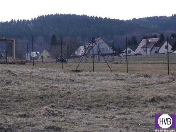 photo_5