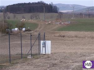 photo_1