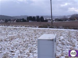 photo_2
