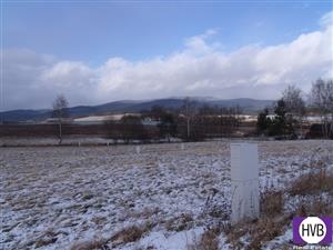 photo_7