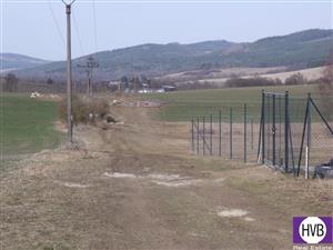 photo_9