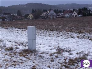 photo_10