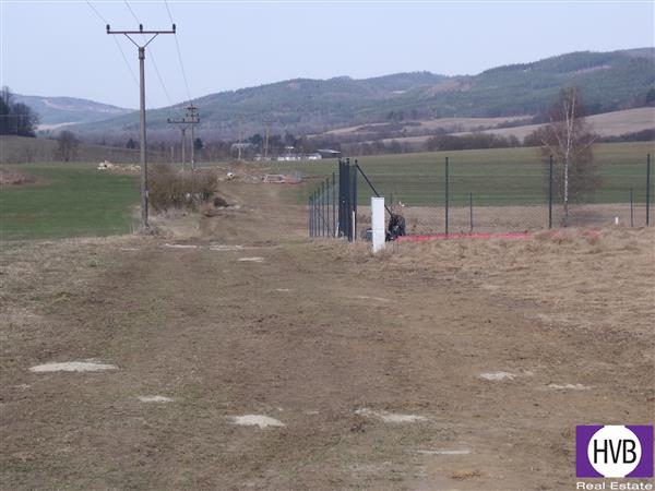 photo_11