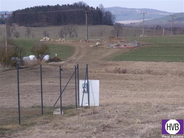 photo_1